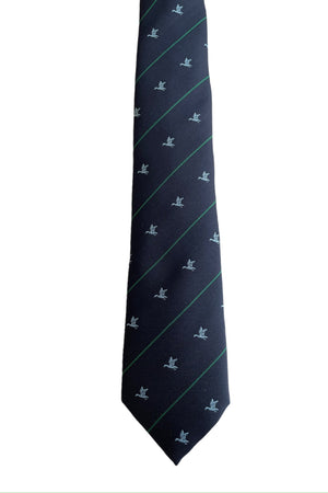 Corbata pato azul raya verde