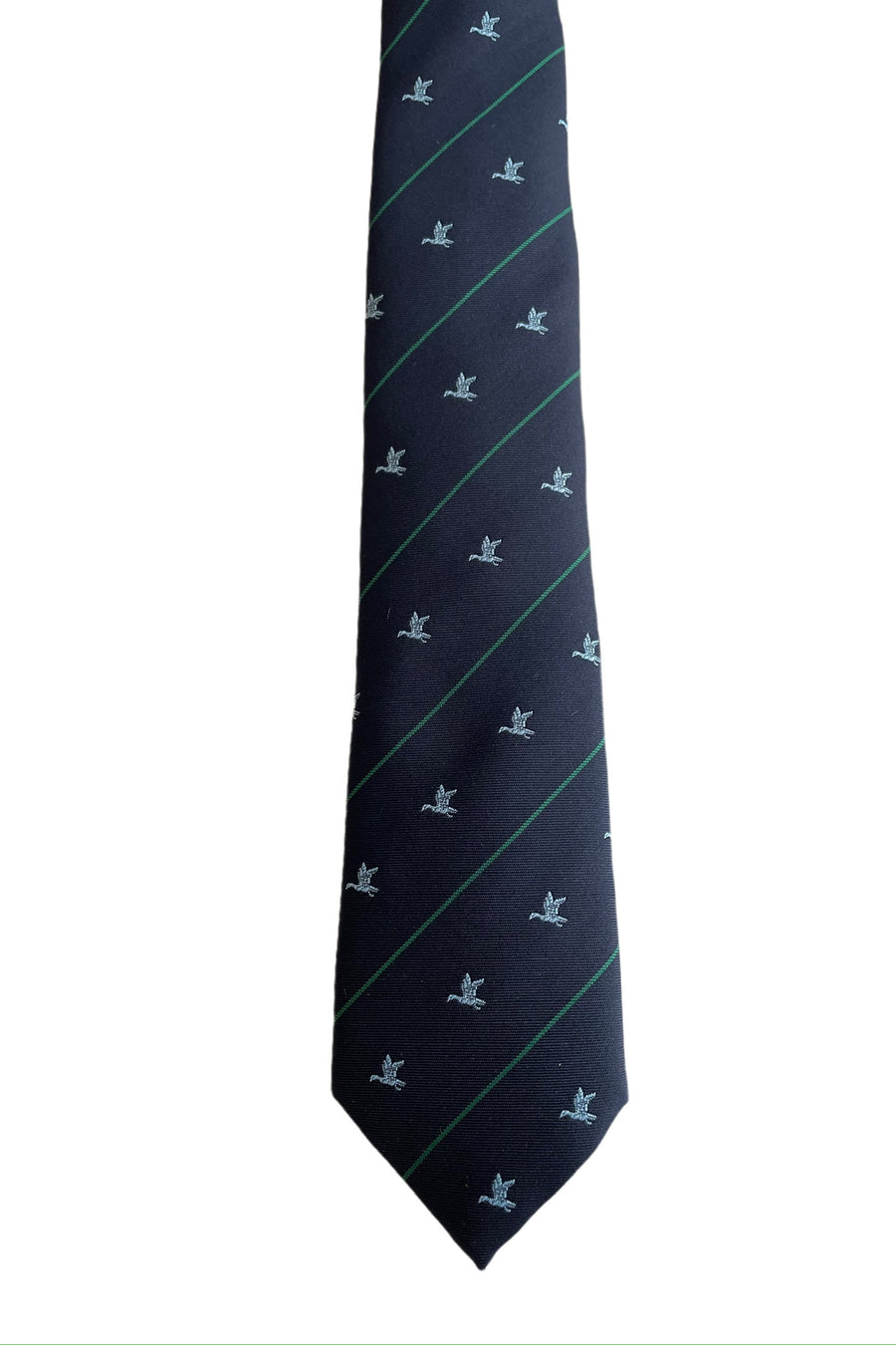 Corbata pato azul raya verde